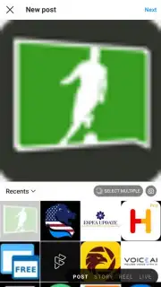 Honista capture 5