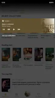 Патефон capture 1