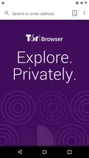 Tor Browser Alpha capture 7