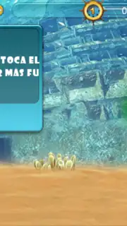 Fish Live capture 6