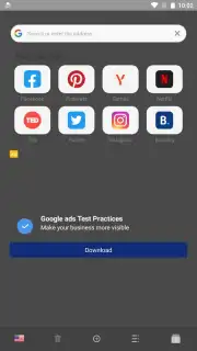 Proxy Browser capture 2