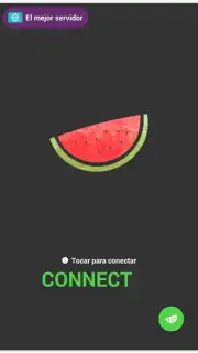 VPN Melon capture 1