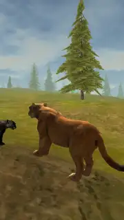 Puma Survival capture 5