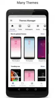 Themes Manager capture 1