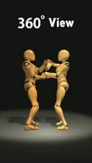 Wing Chun Trainer capture 6
