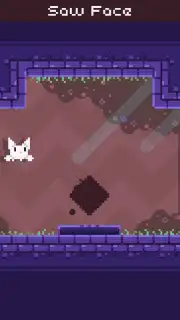 Cat Bird capture 16
