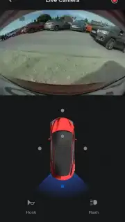 Tesla capture 8