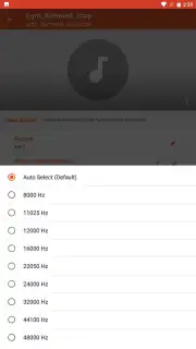 Audio Converter capture 7
