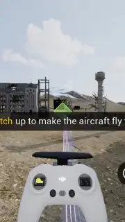 DJI Virtual Flight capture 1
