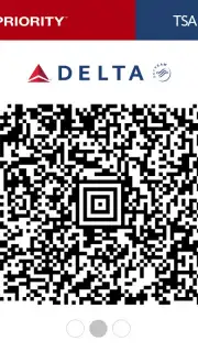 Fly Delta capture 2