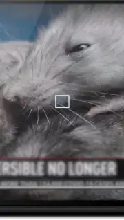 KgTv Player - IPTV Player capture 13
