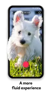 TikTok Lite capture 15