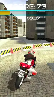 City Bike capture 3