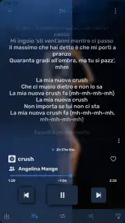 RiMusic capture 4