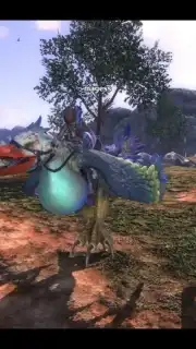ETERNAL capture 7