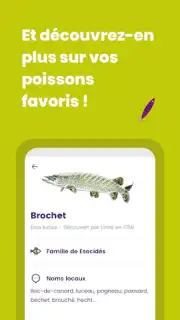 Génération Pêche capture 1