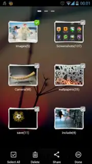GO Media Manager capture 2