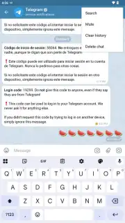 Telegram X capture 30