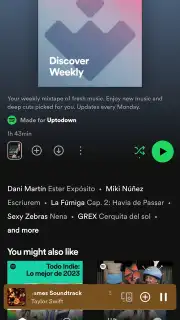 Spotify capture 12