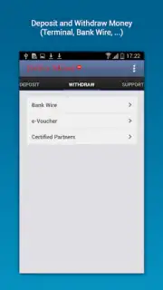 Perfect Money capture 1