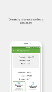 Парковки России capture 3