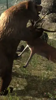 Real Bear Simulator capture 3