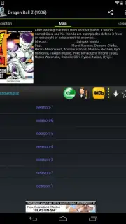 VideoMix capture 7