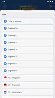 biubiuVPN capture 4