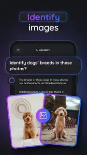 Gemmy AI capture 4