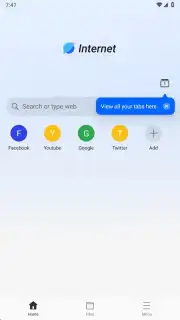 Internet Browser capture 1