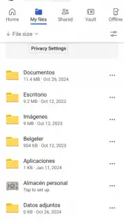 Microsoft OneDrive capture 1