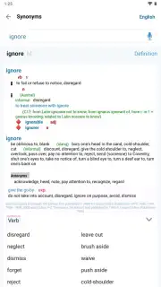 Reverso Translation Dictionary capture 21