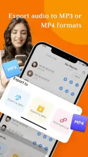 MetaVoicer capture 2
