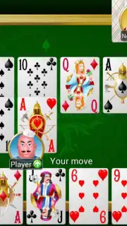 Collection of card games capture 6