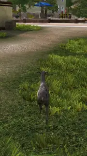 Goat Simulator capture 4
