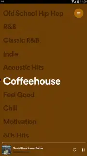 Spotify Stations capture 11