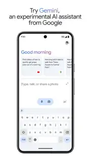 Google Gemini capture 5