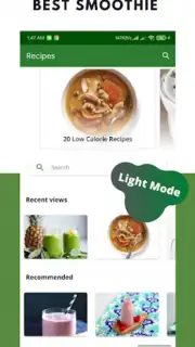 Diet Smoothie Recipes capture 8