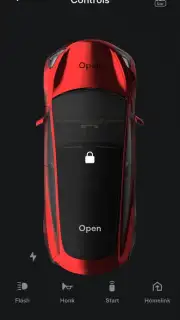 Tesla capture 2