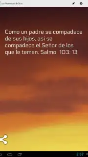 Promesas capture 1