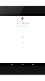 Anonymous Browser capture 18