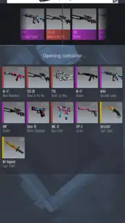 Case Simulator Ultimate capture 2