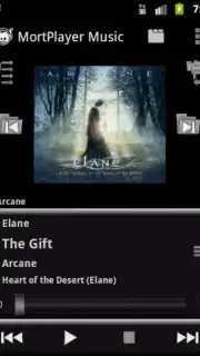 MortPlayer Music capture 8