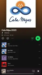 Spotify capture 10