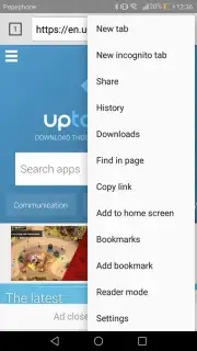 8G Internet Browser capture 3