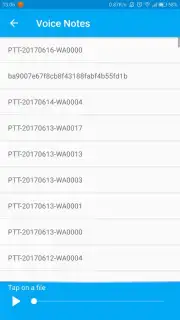 Hidden Chat capture 3