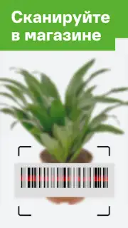 Леруа Мерлен capture 4