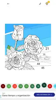 Zen Color capture 14