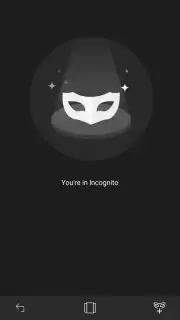 Halo Browser capture 2