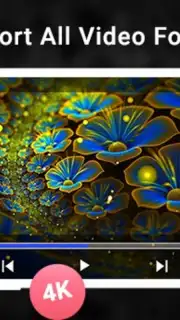 Blueray Video Player capture 4